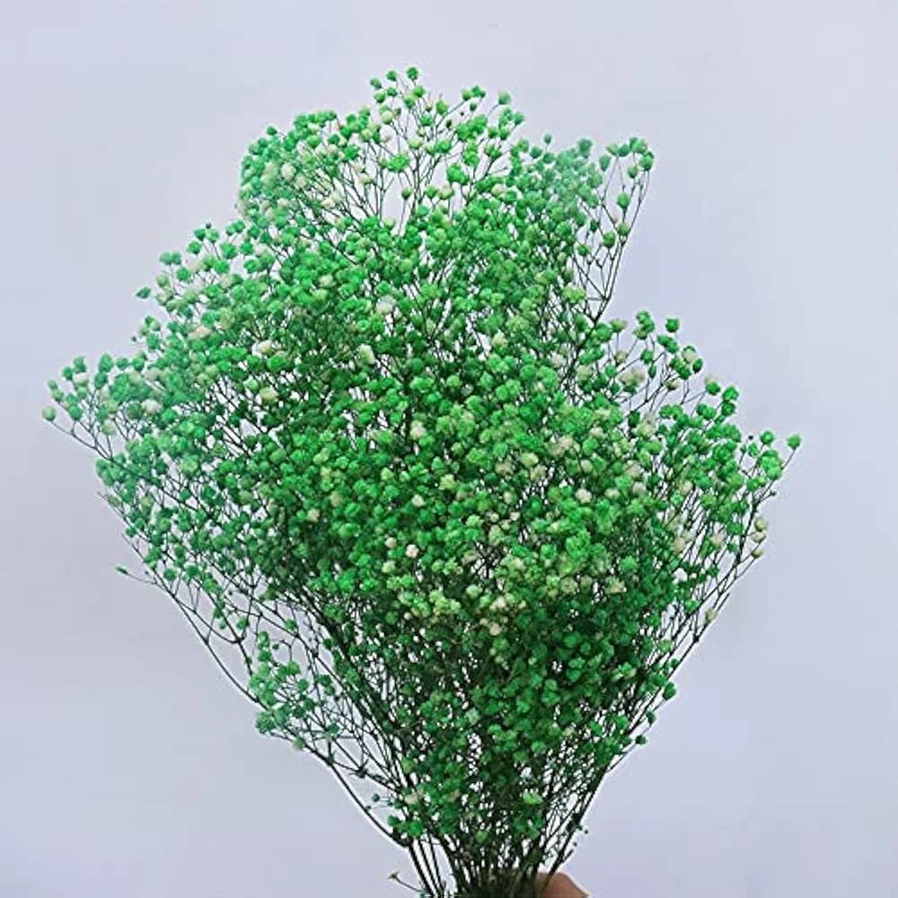 Bouquet de fleurs séchées vert