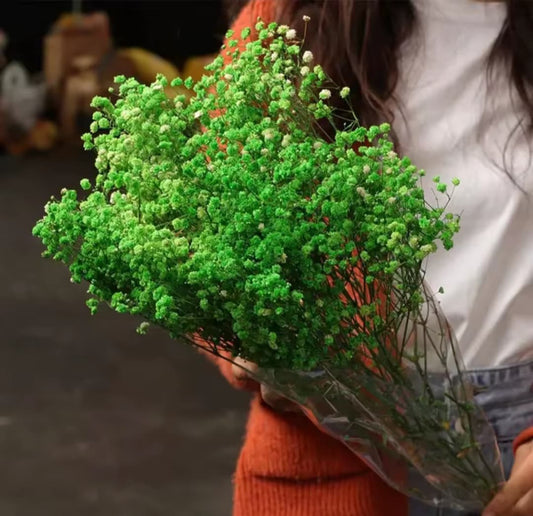 Bouquet de fleurs séchées vert