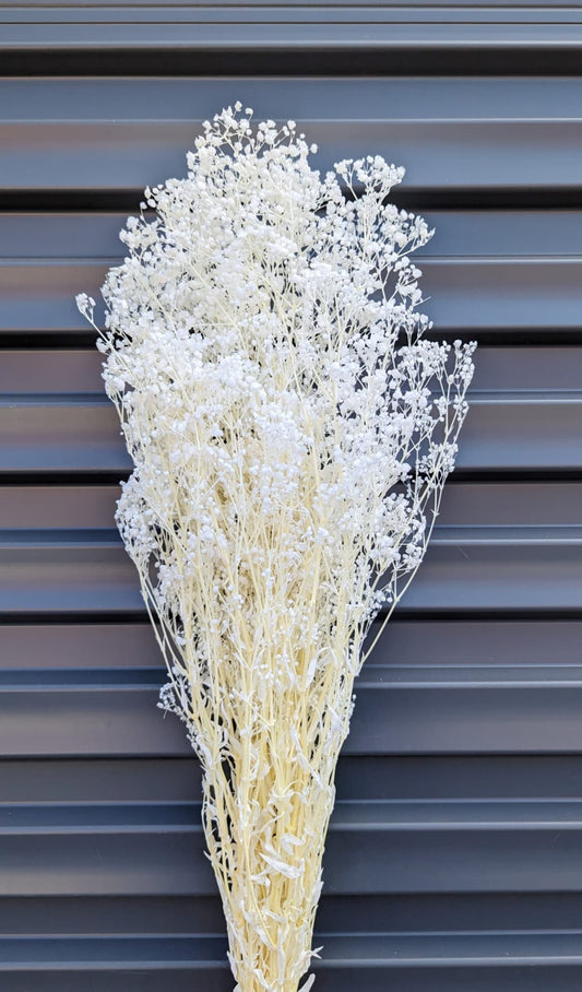 Bouquet de fleurs séchées