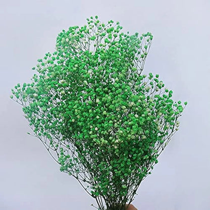 Bouquet de fleurs séchées vert