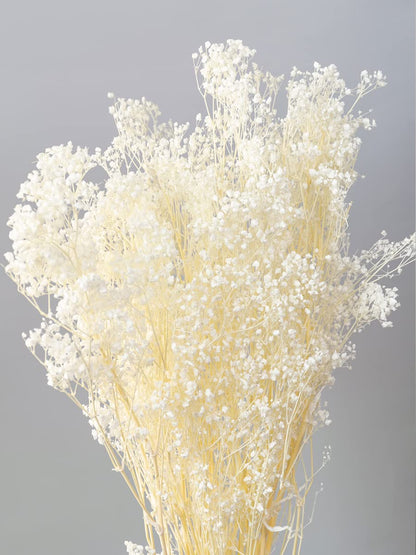 Bouquet de fleurs séchées vert